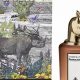 Penhaligon's Terrible Teddy: A Scent Review | Teddy Information – Everything You Need to Know About Teddy Bears