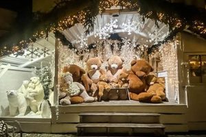Cozy Teddy Bear Houses: DIY & Decor Ideas | Teddy Information – Everything You Need to Know About Teddy Bears