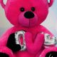 Cuddly Pink Talking Teddy Bear: Soft & Sweet | Teddy Information – Everything You Need to Know About Teddy Bears