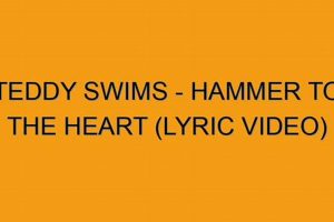Experience Teddy Swims: Hammer to the Heart | Teddy Information – Everything You Need to Know About Teddy Bears