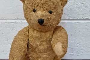 Antique & Vintage Teddy Bears: A Collector's Guide | Teddy Information – Everything You Need to Know About Teddy Bears
