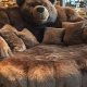 Cozy Teddy Bear Sofas for Sale | Shop Now | Teddy Information – Everything You Need to Know About Teddy Bears