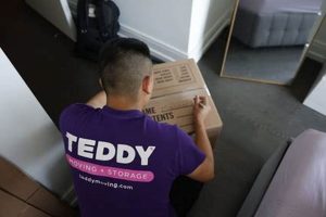 Safe & Secure Teddy Moving and Storage Solutions | Teddy Information – Everything You Need to Know About Teddy Bears