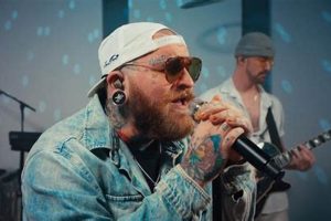 Adventure of Teddy Swims Evergreen Forest | Teddy Information – Everything You Need to Know About Teddy Bears