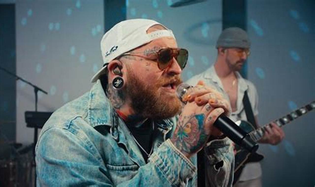 Adventure of Teddy Swims Evergreen Forest | Teddy Information – Everything You Need to Know About Teddy Bears