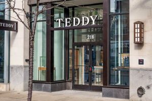 Shop Teddy Watches: Cute & Cuddly Time | Teddy Information – Everything You Need to Know About Teddy Bears