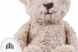 Herzschlag Teddy | Teddy Information – Everything You Need to Know About Teddy Bears