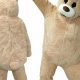 Custom Teddy Bear Mascot Suits for Sale | Teddy Information – Everything You Need to Know About Teddy Bears