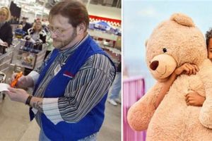 Costco CEO's heartwarming teddy bear donation | Teddy Information – Everything You Need to Know About Teddy Bears