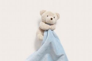 Cozy Teddy Bear with Blanket Sets for Kids Teddy Information – Everything You Need to Know About Teddy Bears Cozy Teddy Bear with Blanket Sets for Kids | Teddy Information – Everything You Need to Know About Teddy Bears