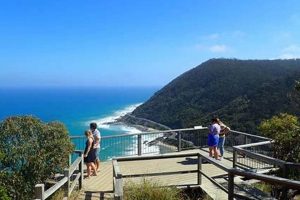 My Teddy Lookout: Comfort and Security | Teddy Information – Everything You Need to Know About Teddy Bears