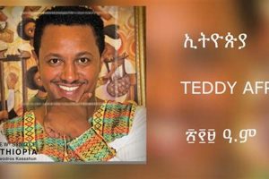 Teddy Afro's New Single: Listen Now! | Teddy Information – Everything You Need to Know About Teddy Bears