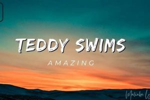 Fun "Amazing Teddy Swims" Lyrics & Songs for Kids | Teddy Information – Everything You Need to Know About Teddy Bears