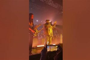 Learn to Swim with Teddy in Greensboro, NC | Teddy Information – Everything You Need to Know About Teddy Bears