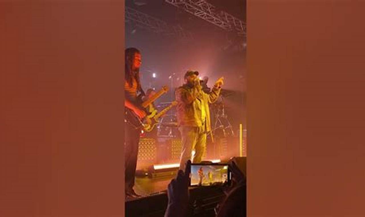 Learn to Swim with Teddy in Greensboro, NC | Teddy Information – Everything You Need to Know About Teddy Bears