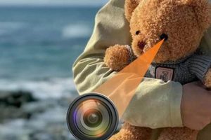 Hidden Teddy Bear Cameras: Spy Cams & Nanny Cam | Teddy Information – Everything You Need to Know About Teddy Bears