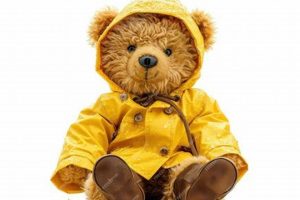 Cute Raincoat Teddy Bears for Kids & Collectors | Teddy Information – Everything You Need to Know About Teddy Bears
