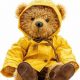 Cute Raincoat Teddy Bears for Kids & Collectors | Teddy Information – Everything You Need to Know About Teddy Bears