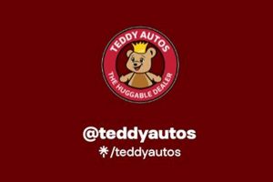 Cuddly Teddy Autos: Plush Car Companions | Teddy Information – Everything You Need to Know About Teddy Bears