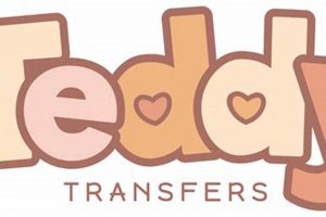 Safe & Secure Teddy Transfers: Guide & Tips | Teddy Information – Everything You Need to Know About Teddy Bears