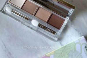 Best Clinique Teddy Bear Eyeshadow Looks Teddy Information – Everything You Need to Know About Teddy Bears Best Clinique Teddy Bear Eyeshadow Looks | Teddy Information – Everything You Need to Know About Teddy Bears