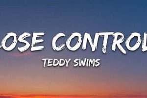 Teddy Sims' "Lose Control" Lyrics: A Deep Dive | Teddy Information – Everything You Need to Know About Teddy Bears