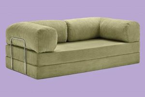 Cozy Teddy Couch Omhu: Ultimate Comfort Guide Teddy Information – Everything You Need to Know About Teddy Bears Cozy Teddy Couch Omhu: Ultimate Comfort Guide | Teddy Information – Everything You Need to Know About Teddy Bears