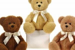 The Meaning of Teddy Bears: Symbolism & Significance Teddy Information – Everything You Need to Know About Teddy Bears The Meaning of Teddy Bears: Symbolism & Significance | Teddy Information – Everything You Need to Know About Teddy Bears