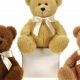 The Meaning of Teddy Bears: Symbolism & Significance | Teddy Information – Everything You Need to Know About Teddy Bears