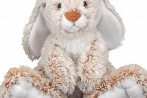 Adorable Teddy Bear Rabbits: Cuddly Companions Teddy Information – Everything You Need to Know About Teddy Bears Adorable Teddy Bear Rabbits: Cuddly Companions | Teddy Information – Everything You Need to Know About Teddy Bears
