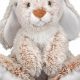 Adorable Teddy Bear Rabbits: Cuddly Companions | Teddy Information – Everything You Need to Know About Teddy Bears