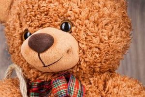 Cute Brown Teddy Bear Wallpaper Designs Teddy Information – Everything You Need to Know About Teddy Bears Cute Brown Teddy Bear Wallpaper Designs | Teddy Information – Everything You Need to Know About Teddy Bears