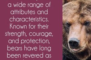 Teddy Bear Symbolism: Meaning & History Teddy Information – Everything You Need to Know About Teddy Bears Teddy Bear Symbolism: Meaning & History | Teddy Information – Everything You Need to Know About Teddy Bears