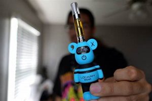 Top Teddy Bear Battery for Cart Options &amp; Safety | Teddy Information – Everything You Need to Know About Teddy Bears