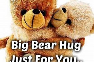Cuddly Bear Hug Teddy Bears for Comfort Teddy Information – Everything You Need to Know About Teddy Bears Cuddly Bear Hug Teddy Bears for Comfort | Teddy Information – Everything You Need to Know About Teddy Bears