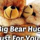 Cuddly Bear Hug Teddy Bears for Comfort | Teddy Information – Everything You Need to Know About Teddy Bears