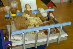 The Vermont Teddy Bear Hospital: Plush Toy Repair | Teddy Information – Everything You Need to Know About Teddy Bears