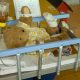 The Vermont Teddy Bear Hospital: Plush Toy Repair | Teddy Information – Everything You Need to Know About Teddy Bears