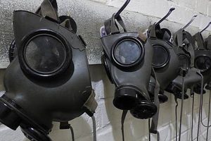 The Teddy Command Post.com: Your HQ for Teddies Teddy Information – Everything You Need to Know About Teddy Bears The Teddy Command Post.com: Your HQ for Teddies | Teddy Information – Everything You Need to Know About Teddy Bears