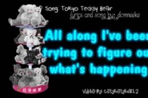 Official Tokyo Teddy Bear English Lyrics & Translation | Teddy Information – Everything You Need to Know About Teddy Bears