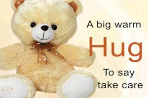 Get Cozy with Teddy Bear Hugs: Warm & Fuzzy | Teddy Information – Everything You Need to Know About Teddy Bears
