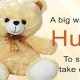 Get Cozy with Teddy Bear Hugs: Warm & Fuzzy | Teddy Information – Everything You Need to Know About Teddy Bears