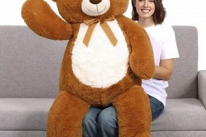 Teddy Bear Sizes: Small to Giant Plush Guide | Teddy Information – Everything You Need to Know About Teddy Bears