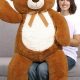 Teddy Bear Sizes: Small to Giant Plush Guide | Teddy Information – Everything You Need to Know About Teddy Bears