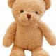 Hidden Spy Camera Teddy Bear for Home Security | Teddy Information – Everything You Need to Know About Teddy Bears