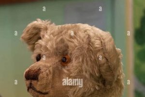 Original Winnie The Pooh Teddy | Teddy Information – Everything You Need to Know About Teddy Bears