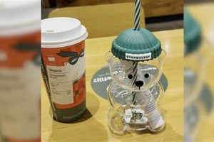 Cute Starbucks Teddy Bears: Collectors Guide | Teddy Information – Everything You Need to Know About Teddy Bears