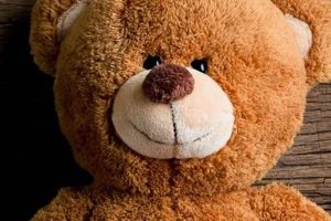 Cute Teddy Bears Wallpaper Designs for Kids' Rooms | Teddy Information – Everything You Need to Know About Teddy Bears
