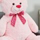 Cuddly Valentine's Teddy Bears at Walmart | Teddy Information – Everything You Need to Know About Teddy Bears