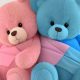 Cuddly Pink Blue Teddy Bears for Kids & Babies | Teddy Information – Everything You Need to Know About Teddy Bears